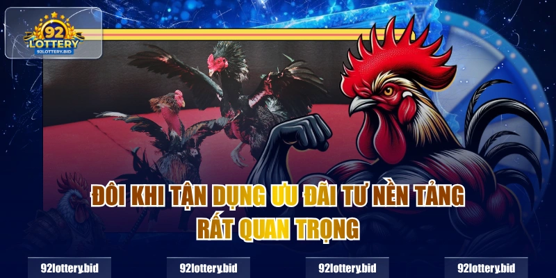 Đôi khi tận dụng ưu đãi tư nền tảng rất quan trọng