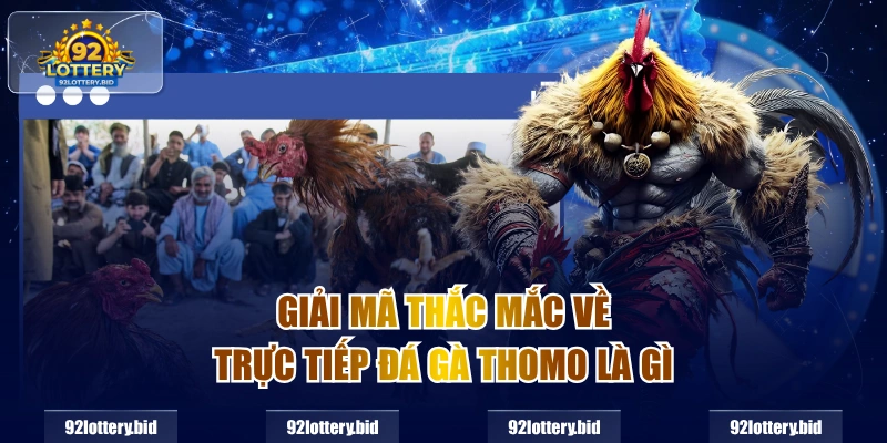 Giải mã thắc mắc về trực tiếp đá gà thomo là gì