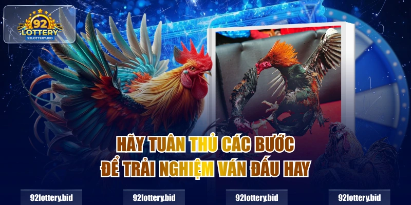 Hãy tuân thủ các bước để trải nghiệm ván đấu hay