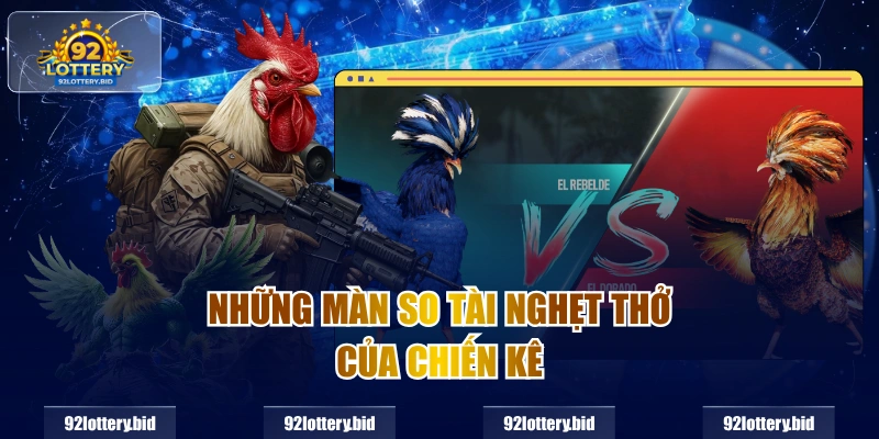 Những màn so tài nghẹt thở của chiến kê