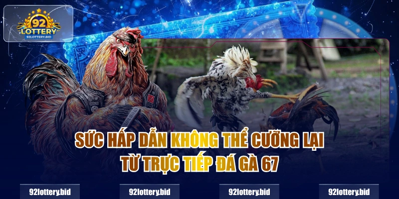 Sức hấp dẫn không thể cưỡng lại từ trực tiếp đá gà 67