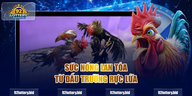 Sức nóng lan tỏa từ đấu trường rực lửa