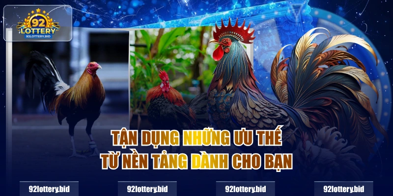 Tận dụng những ưu thế từ nền tảng dành cho bạn