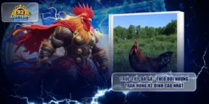 Trực Tiếp Đá Gà - Theo Dõi Những Trận Hùng Kê Đỉnh Cao Nhất