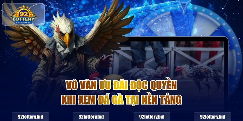 Vô vàn ưu đãi độc quyền khi xem đá gà tại nền tảng